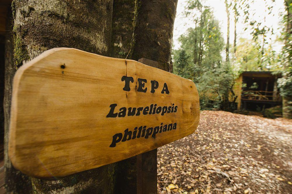 Huilo Huilo Nawelpi Lodge Puerto Fuy Eksteriør billede