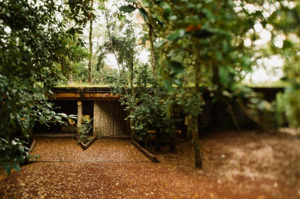 Huilo Huilo Nawelpi Lodge Puerto Fuy Eksteriør billede